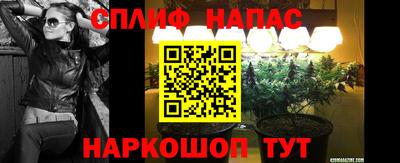 Альфа ПВП Шебекино