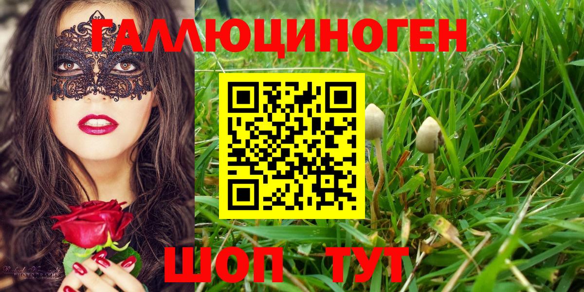 Галлюциногенные грибы GOLDEN TEACHER Ноябрьск