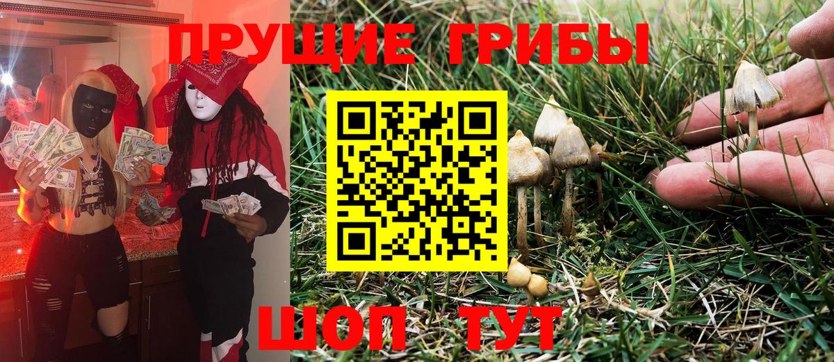 Ноябрьск  Галлюциногенные грибы Psilocybine cubensis  дарнет шоп  Вход с VPN 